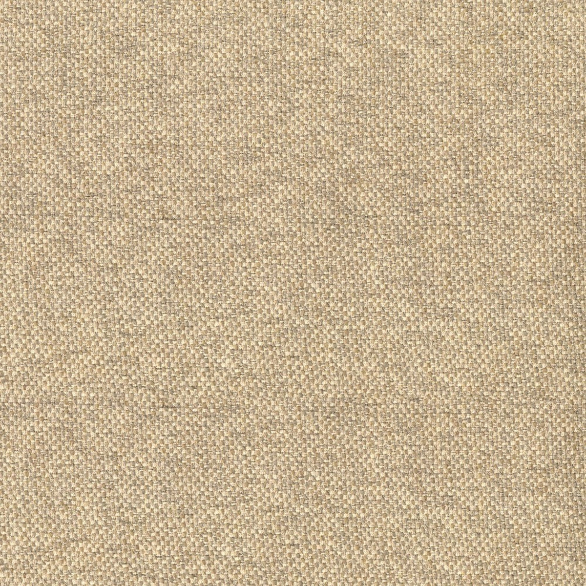 Greenhouse F5791  | Atlanta Fabrics