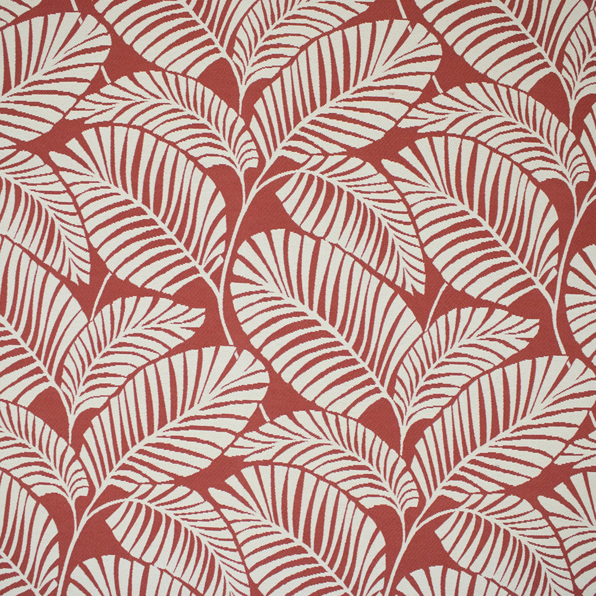 Greenhouse F6274  | Atlanta Fabrics