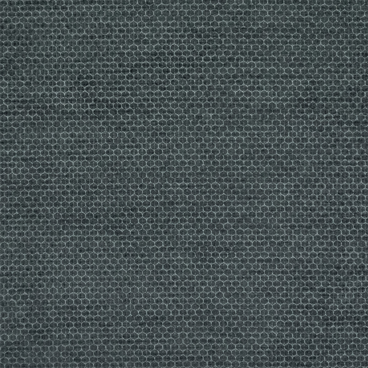 F6486 Blue Jay