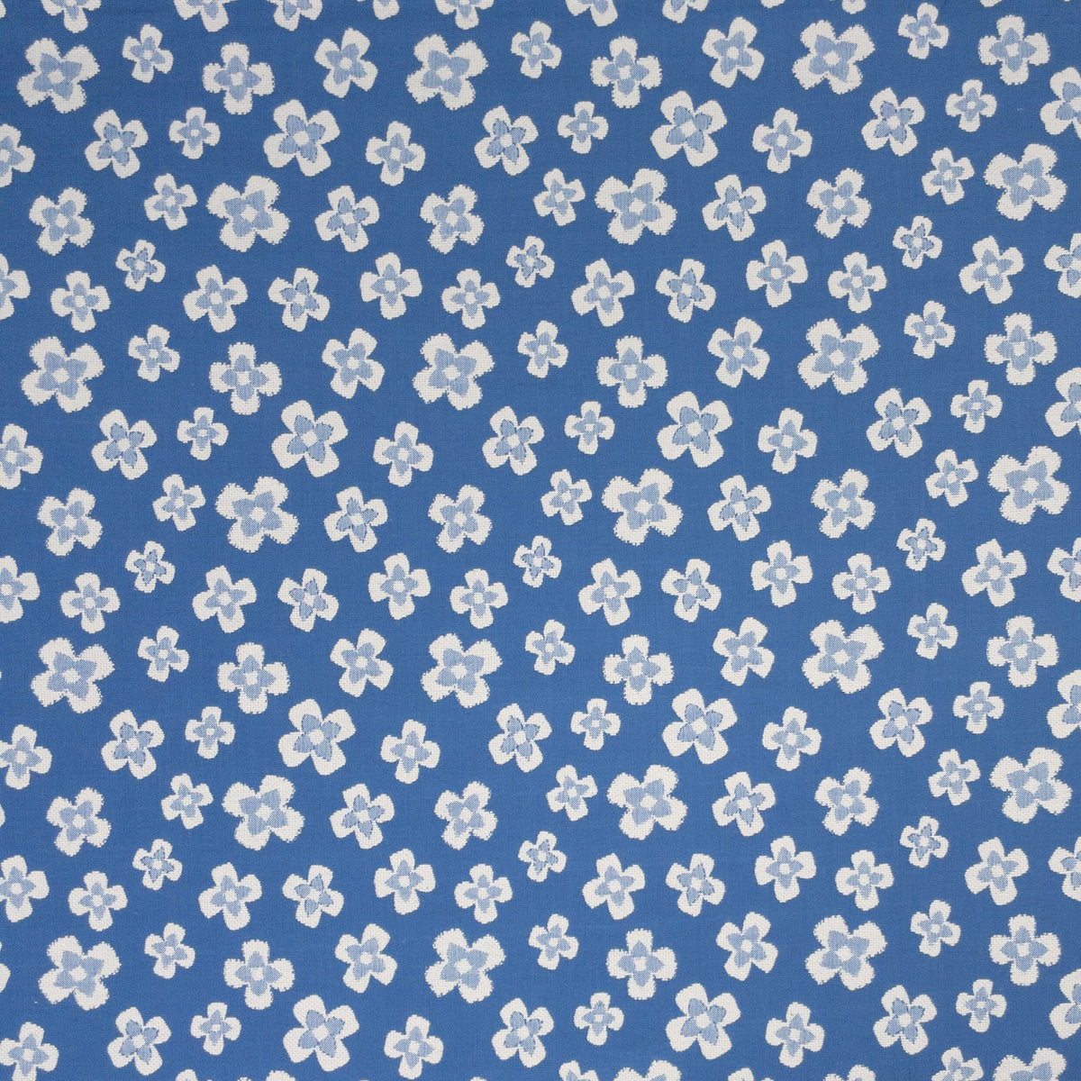 FANCIFUL 1 FRENCHBLUE