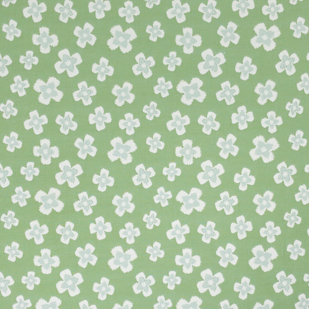 FANCIFUL 2 SPRING