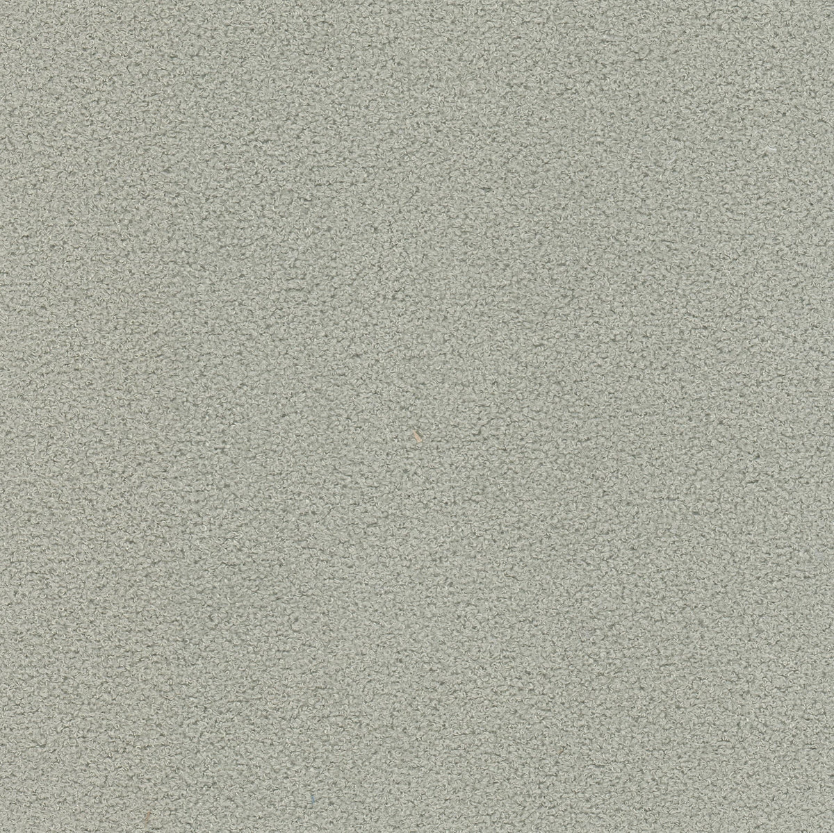 FINNERTY 1 GREY
