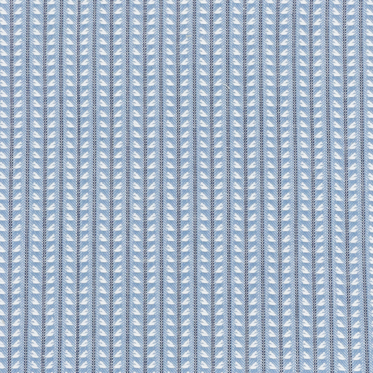 FIONA 1 SKY