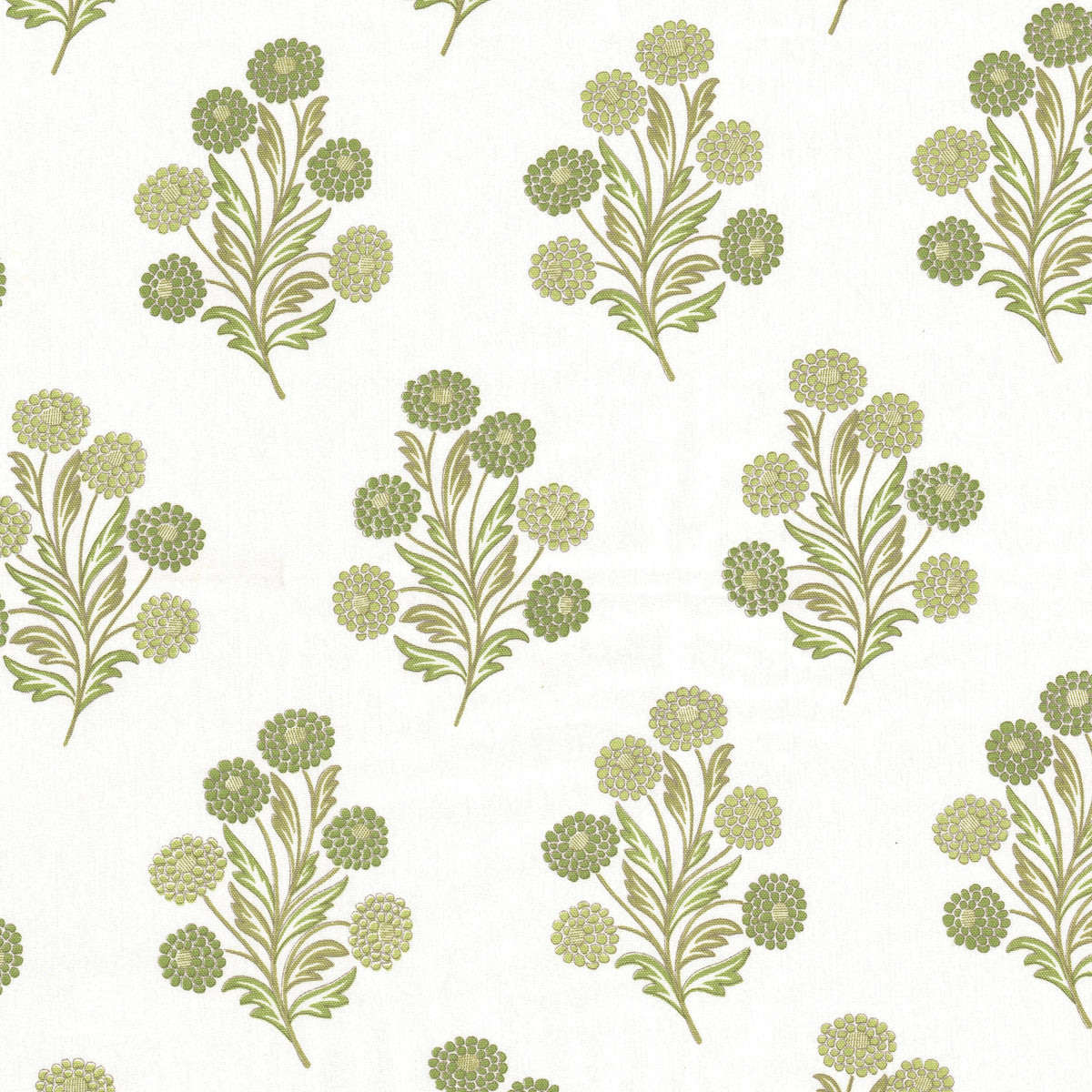 FOXCROFT 1 CELERY