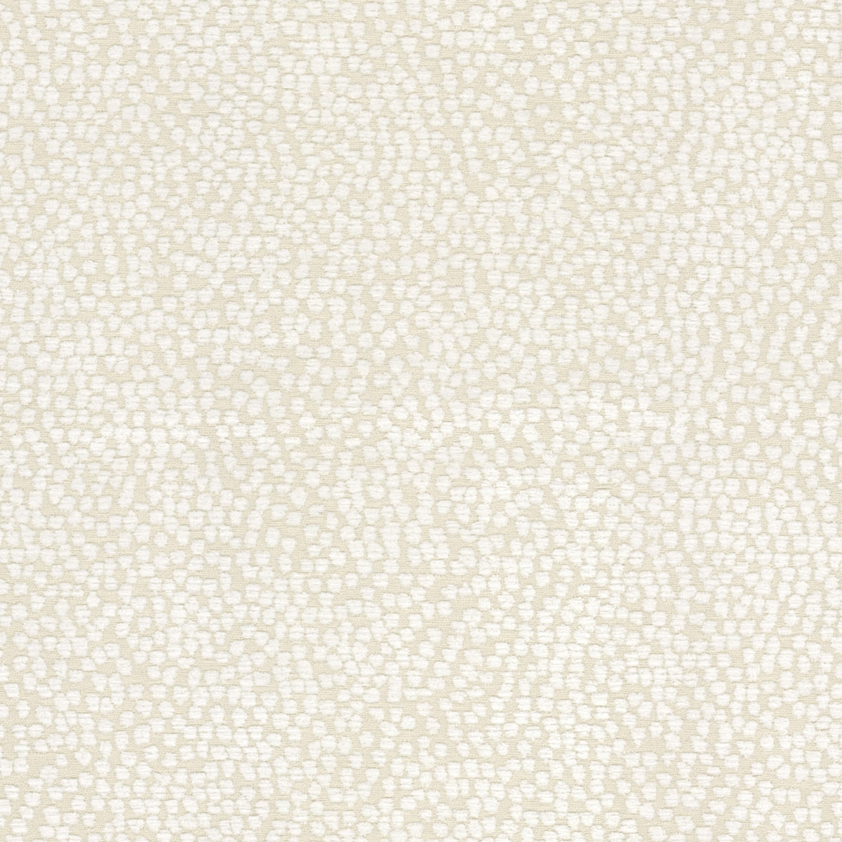 FOXTROT 2 CREAM