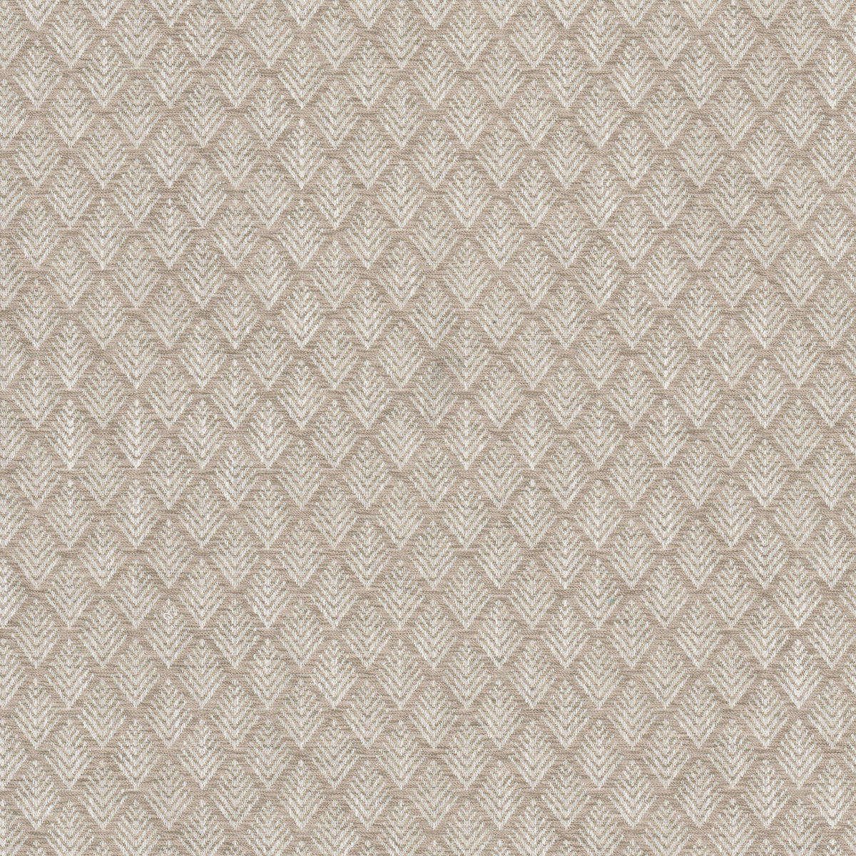 FRACTAL 1 WHEAT