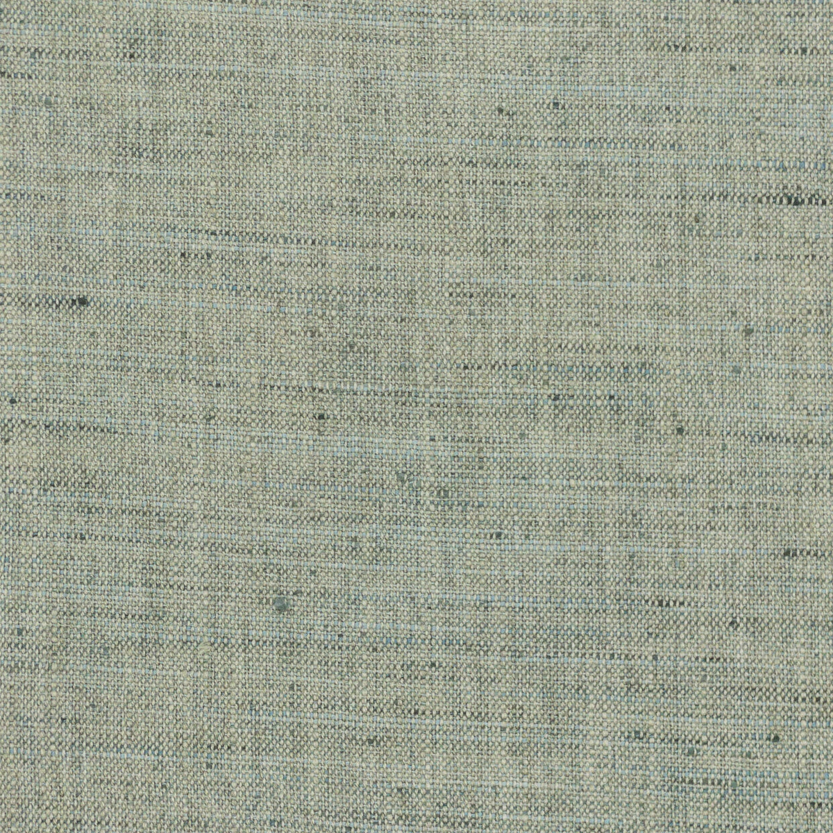 GOSSAMER 6 BAYBERRY