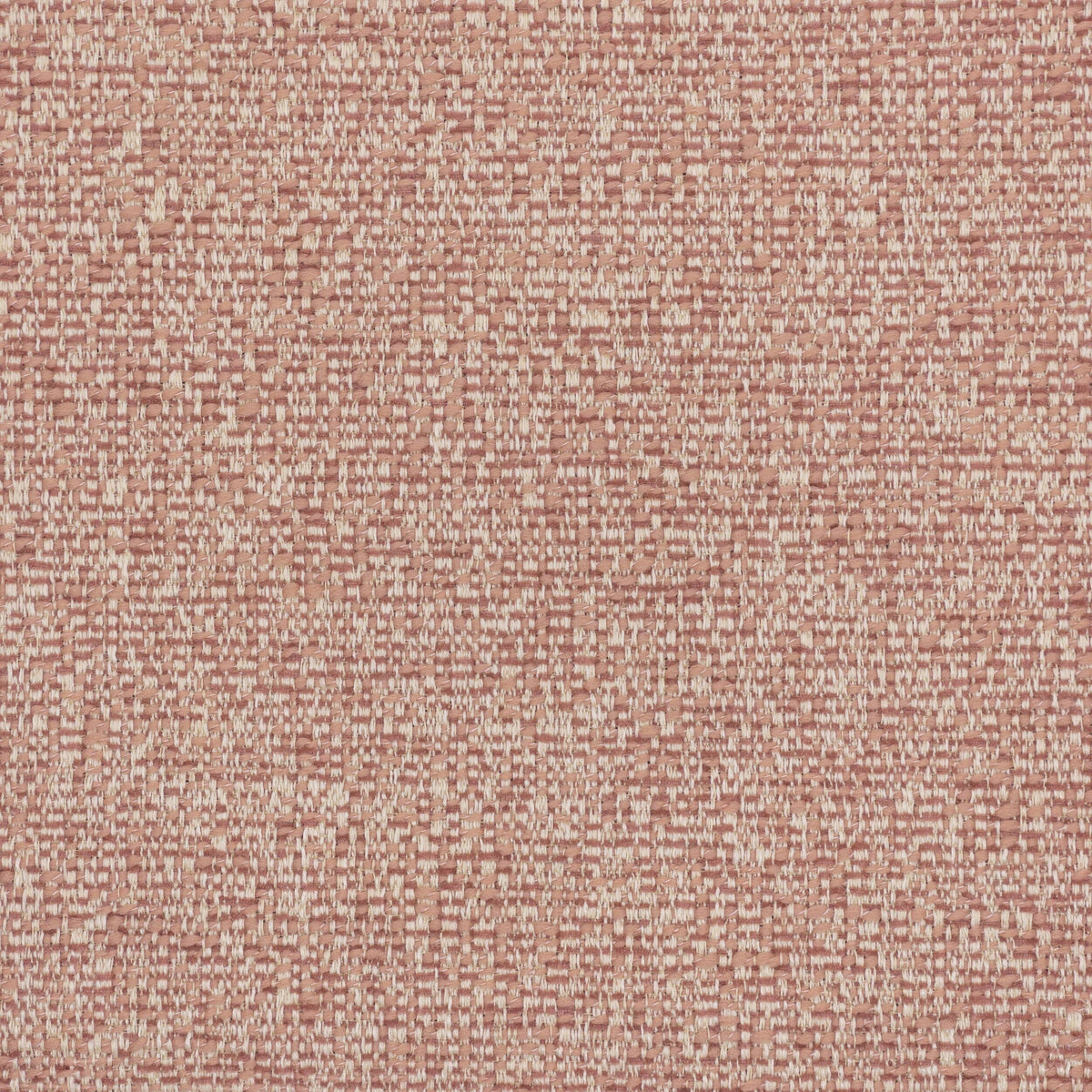 GROTON 3 TEAROSE