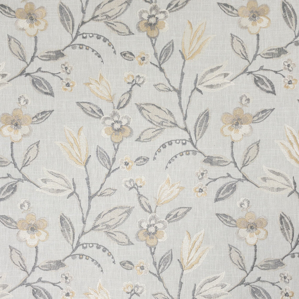 GWYNETH 3 DOVE