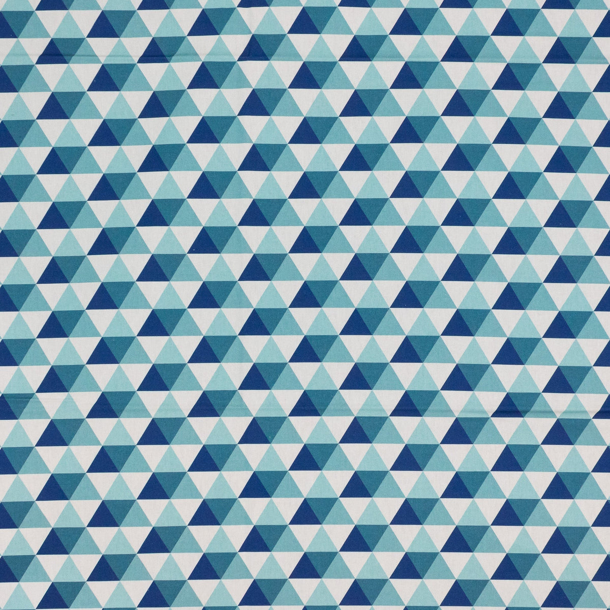Giza Blue Jay