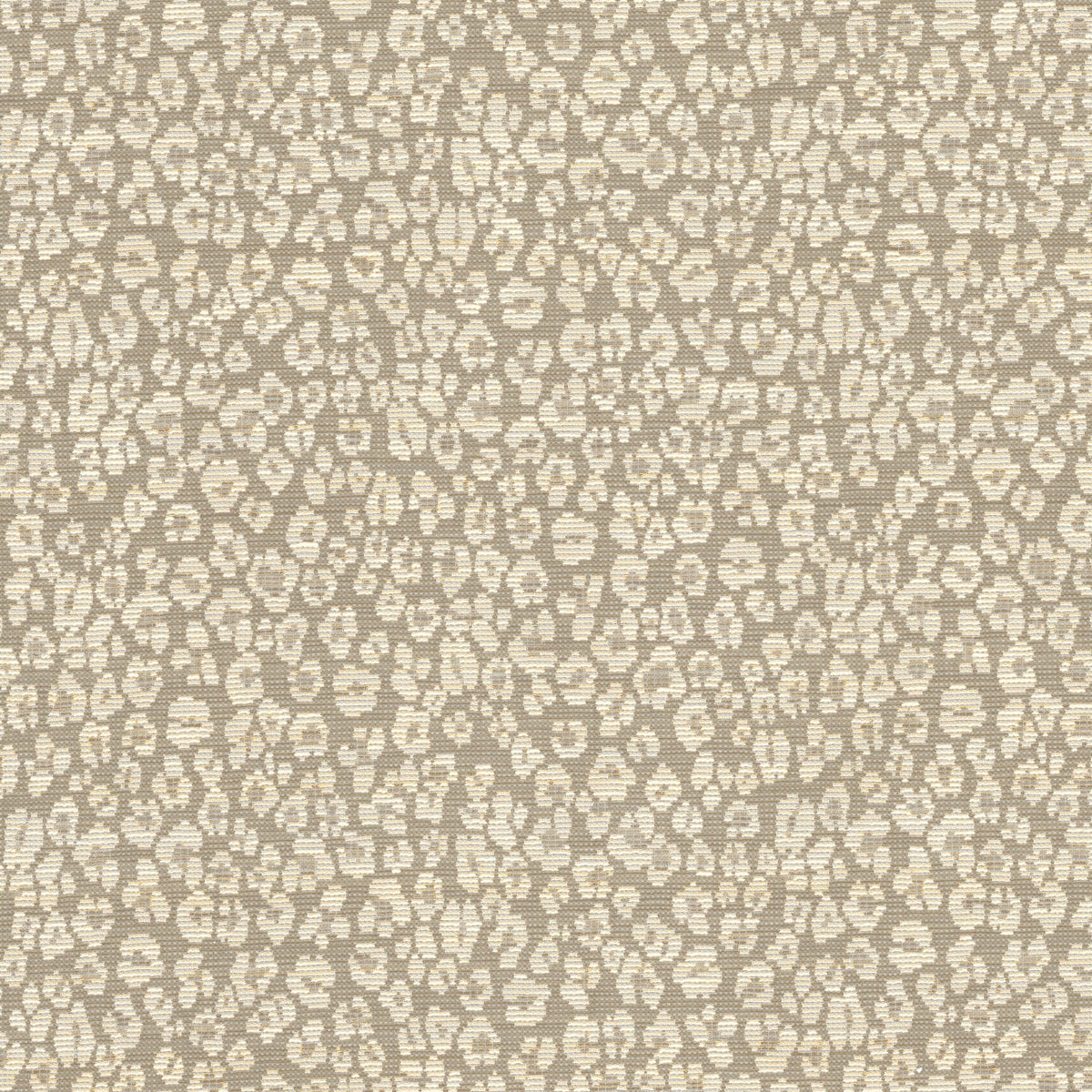 HAPSBURG 2 RAFFIA