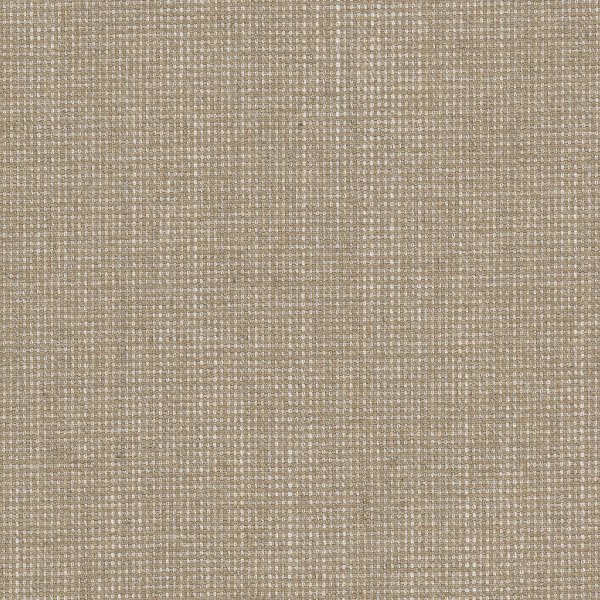 HOLYOKE 11 TAUPE