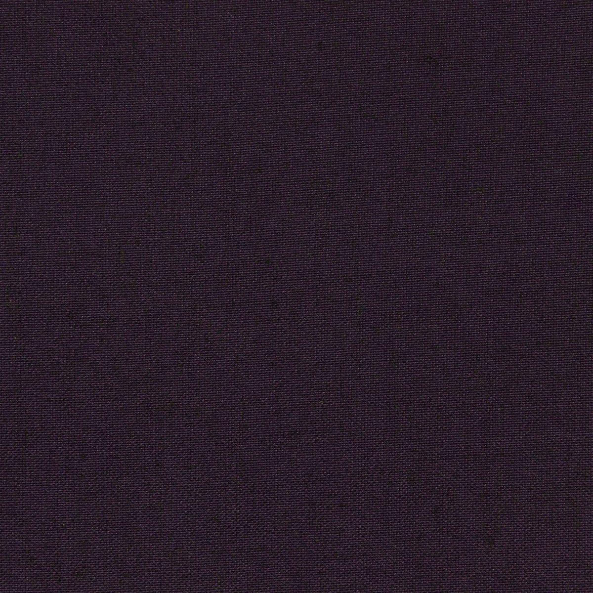 HARBOR CLUB / PLUM