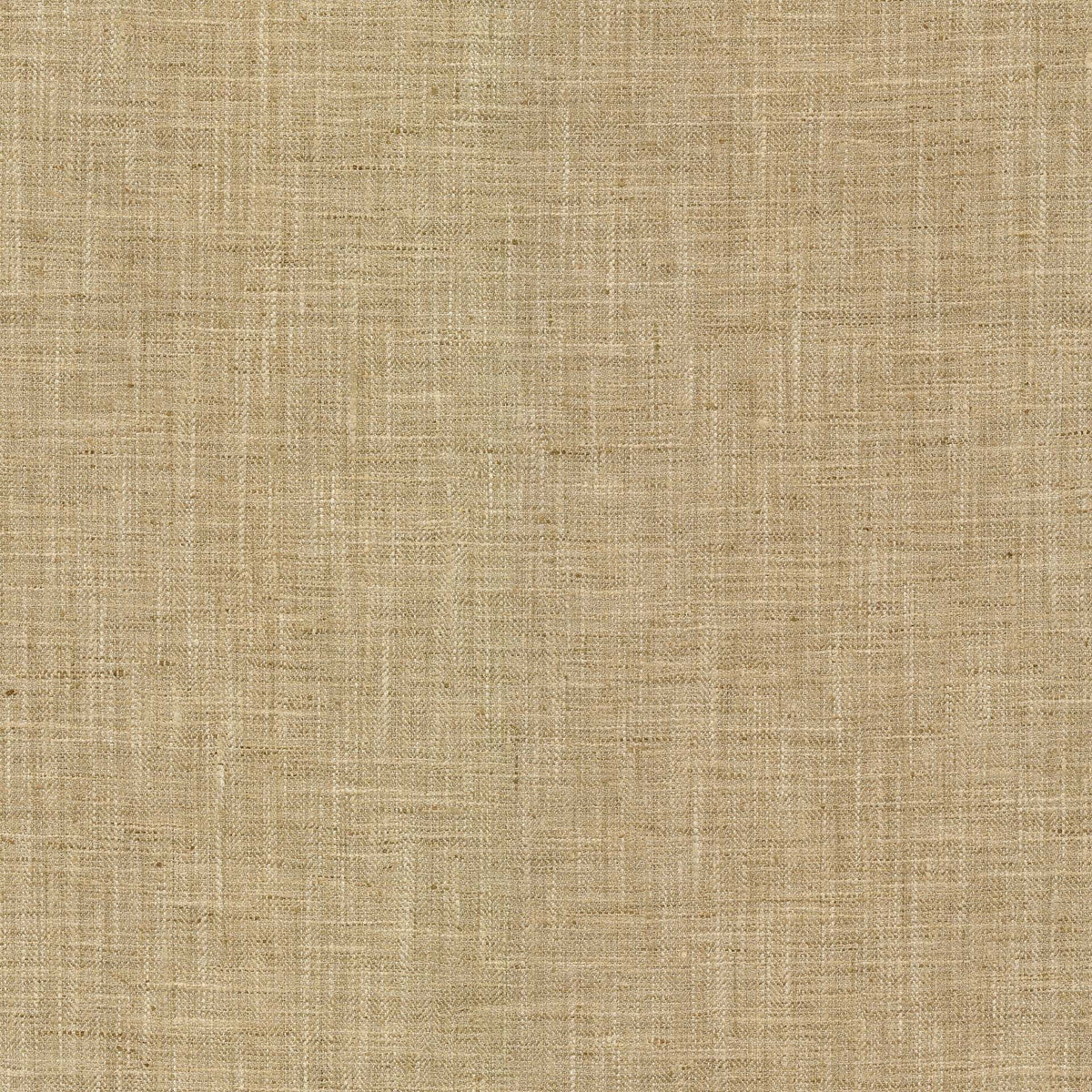 Hooper-Hazelnut