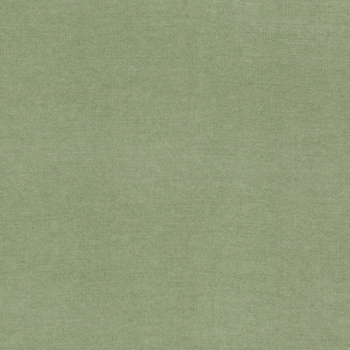 INEVITABLE 1 CELADON