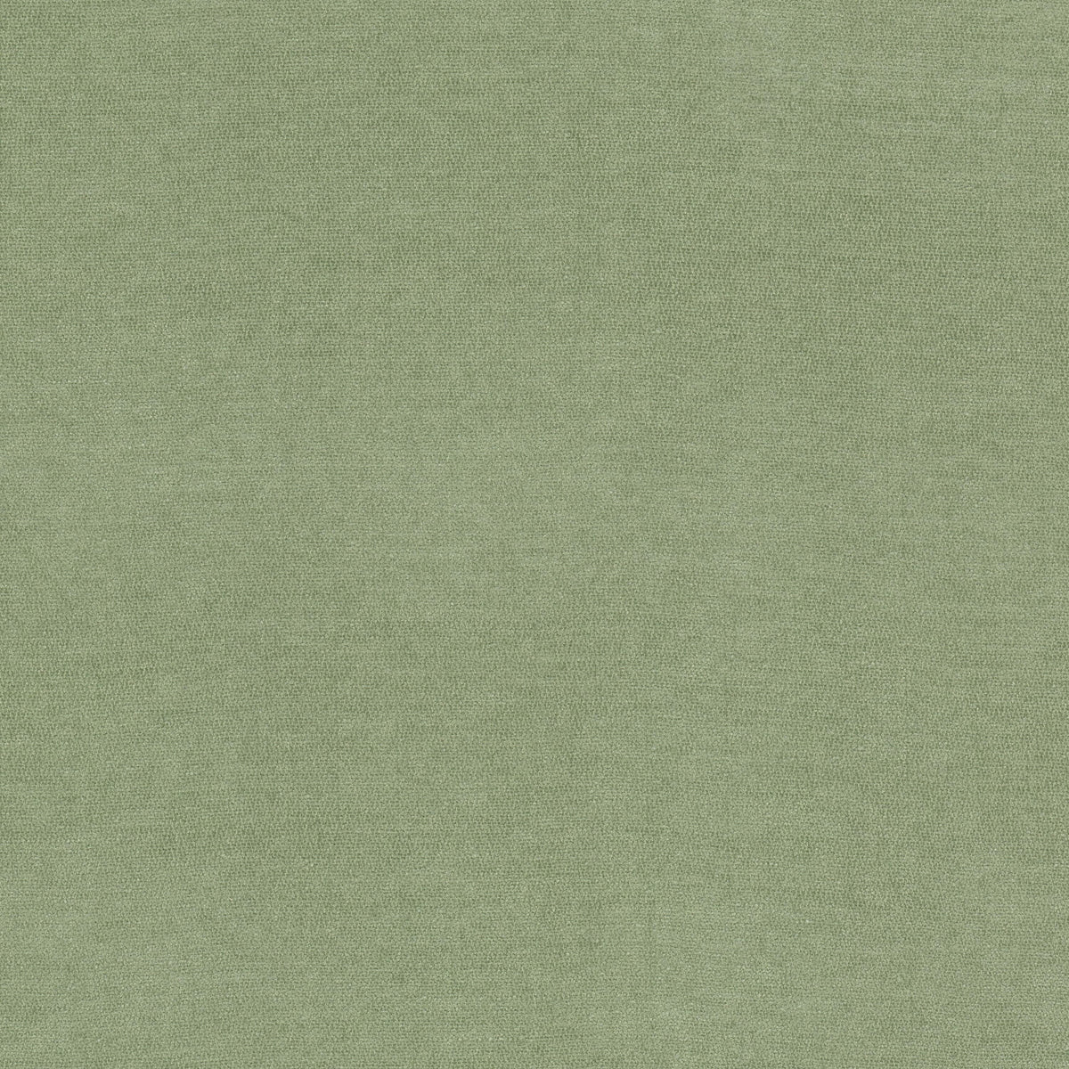 INEVITABLE 1 CELADON
