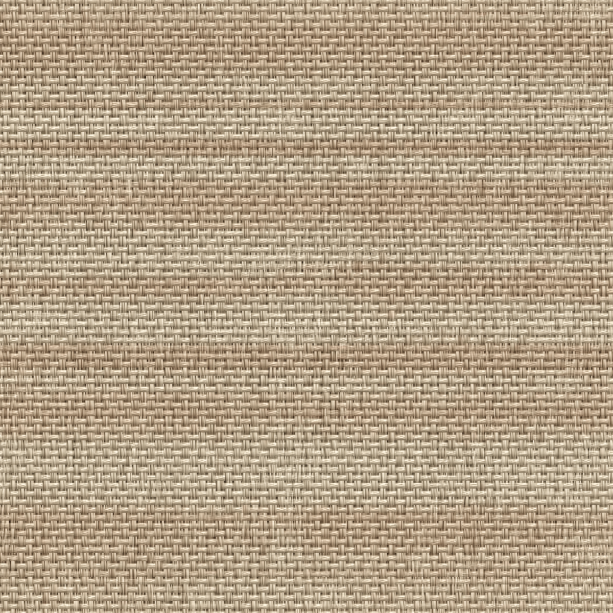 Atlanta Fabrics Indiangrass Raffia Fabric | Atlanta Fabrics