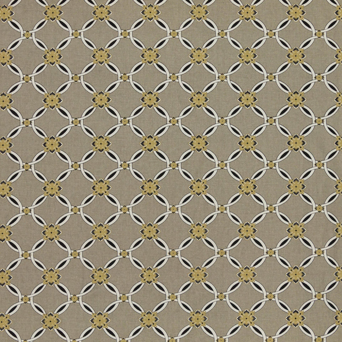INTERTWINED / STONE