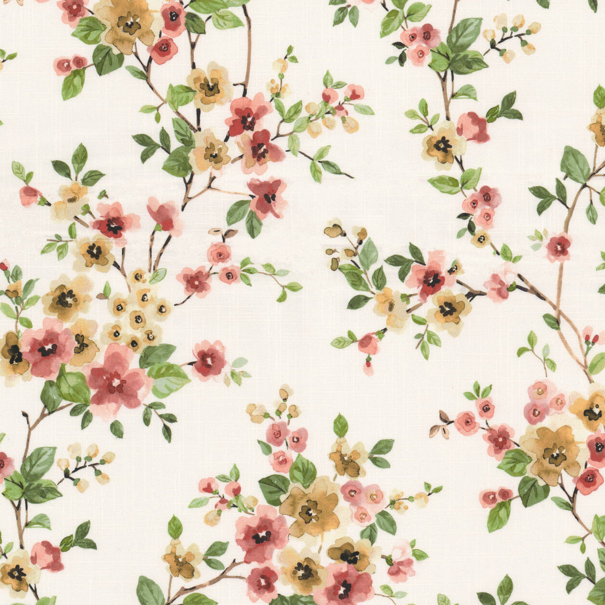 JERICHO 1 BLOSSOM