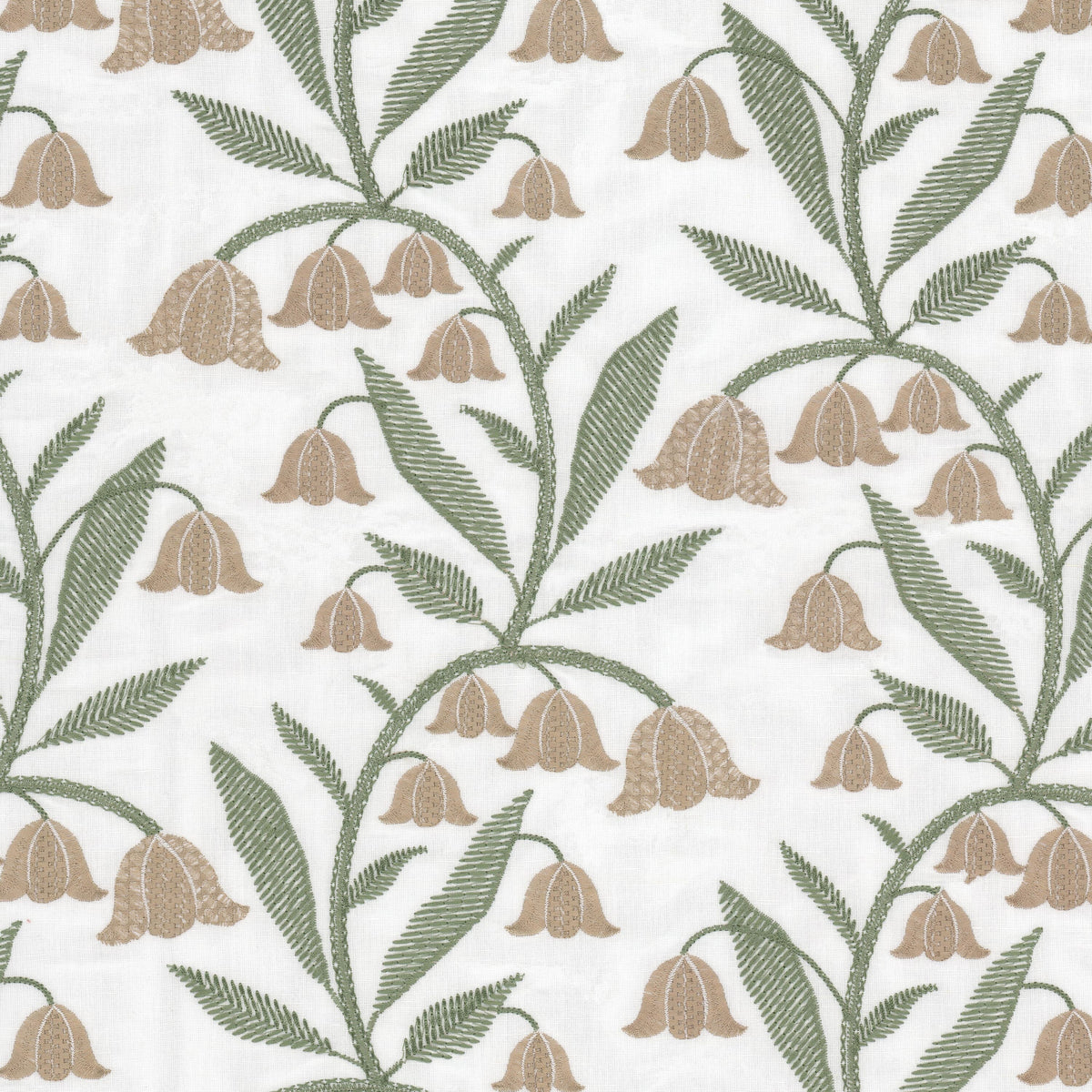 JOANNE 1 SAGE