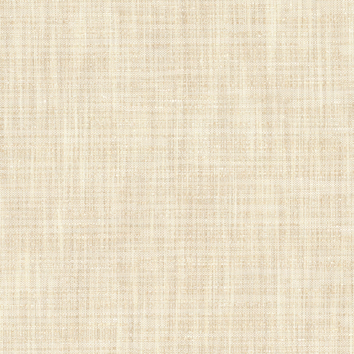 KIMBERLY 1 CHAMPAGNE