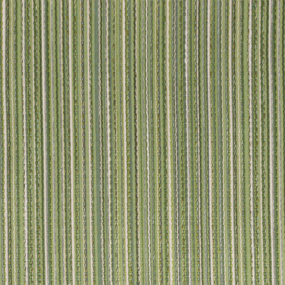 KUMMEL 5 GRASS