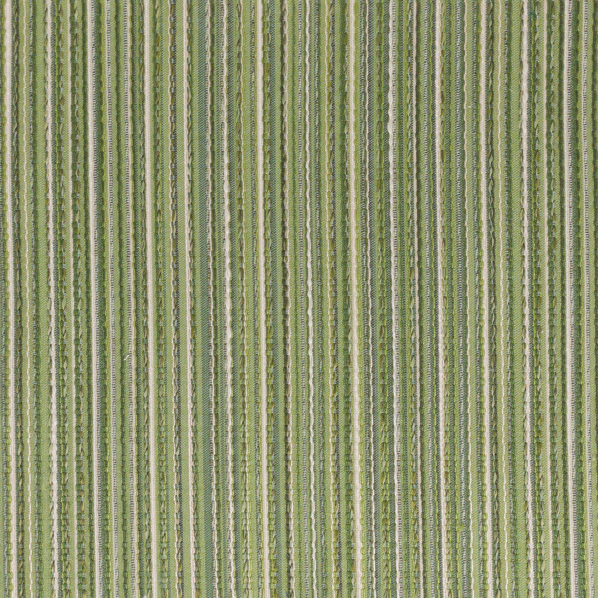 KUMMEL 5 GRASS