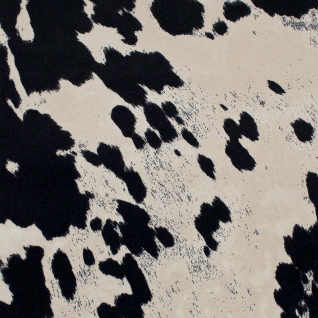 Appaloosa - Black/Cream