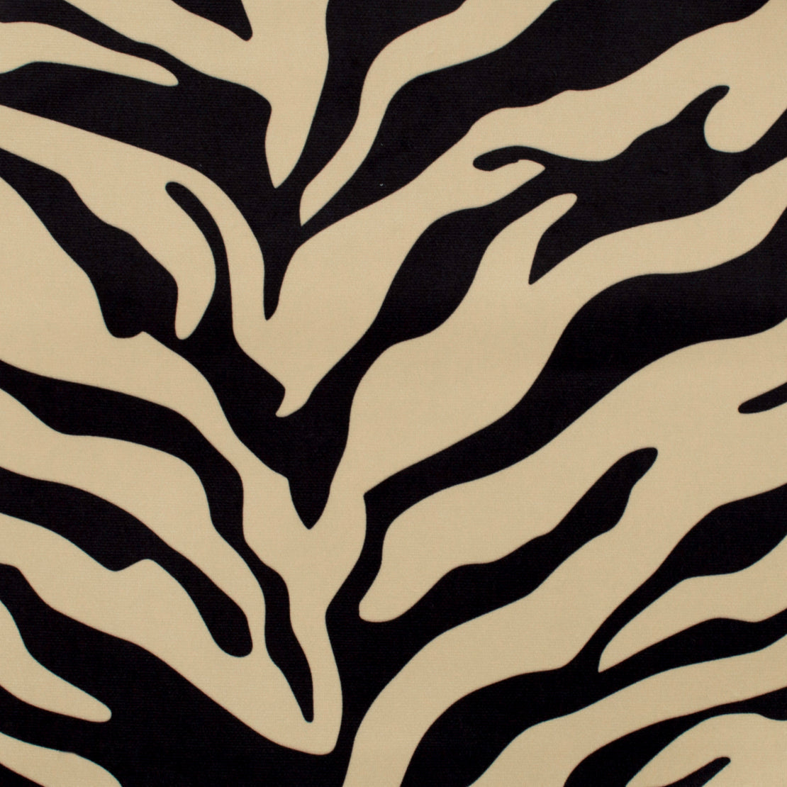 Zebra - Black/Tan