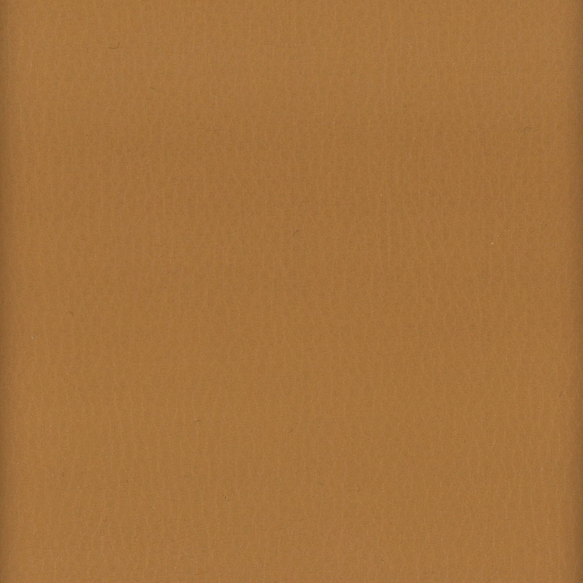 LODGE 10 COGNAC