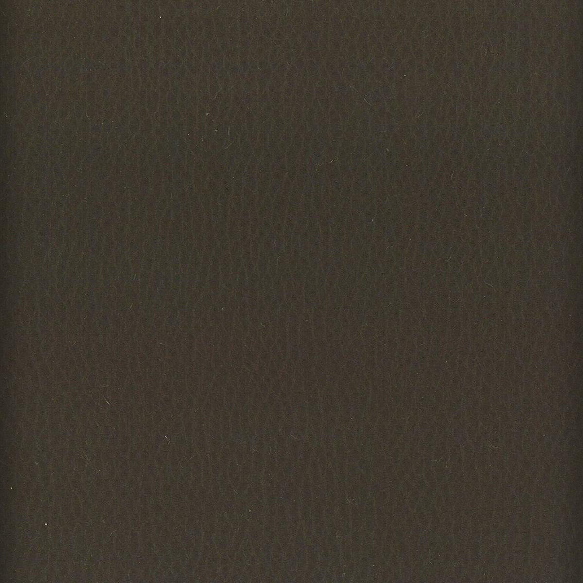 LODGE 8 SLATE
