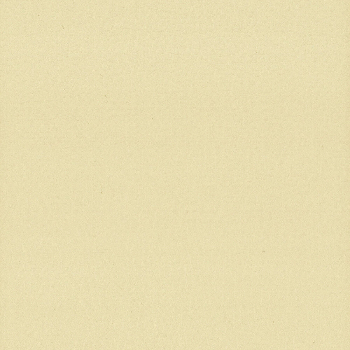STOUT LODGE 9 CHAMOIS Fabric | Atlanta Fabrics