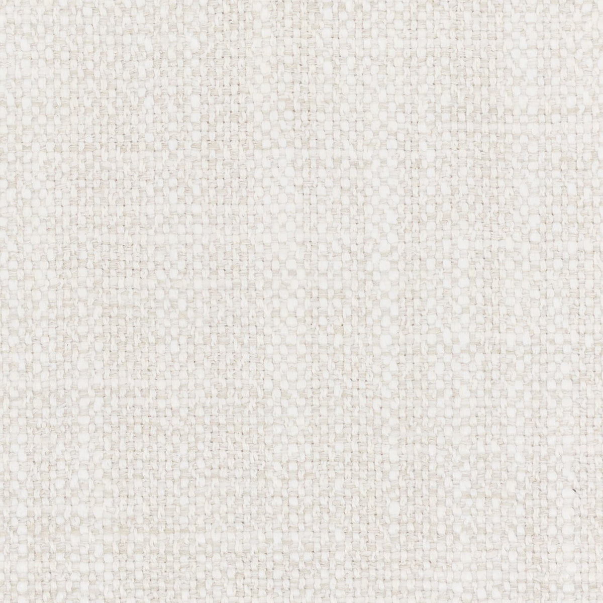 LOHAN 6 BIRCH