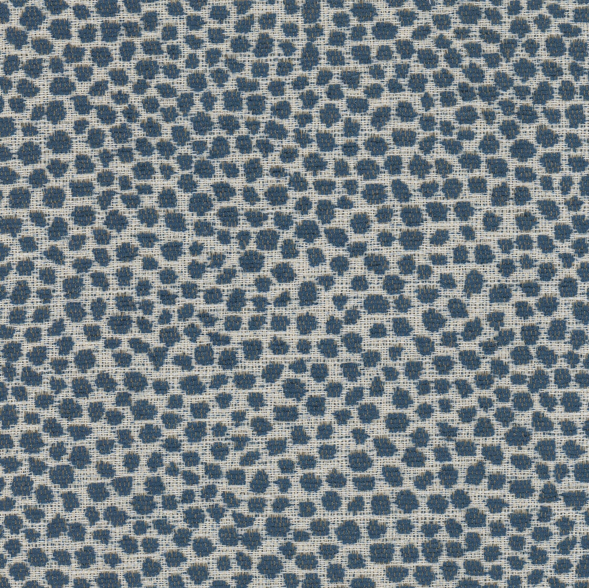 LOLLYPOP 1 NAVY