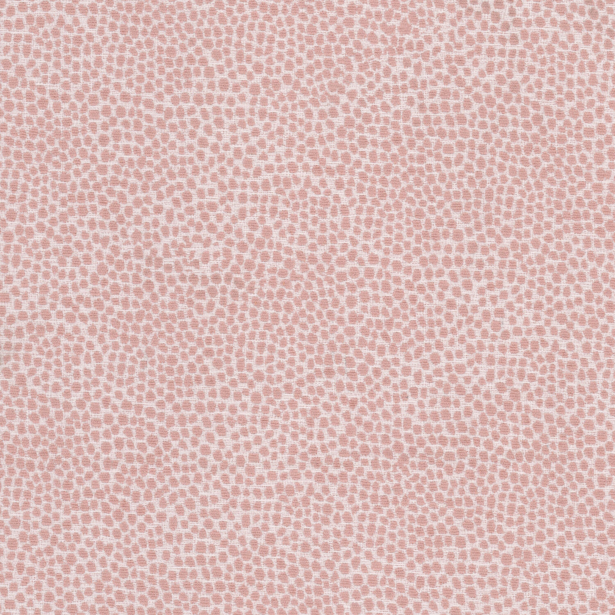 LOLLYPOP 4 POWDER