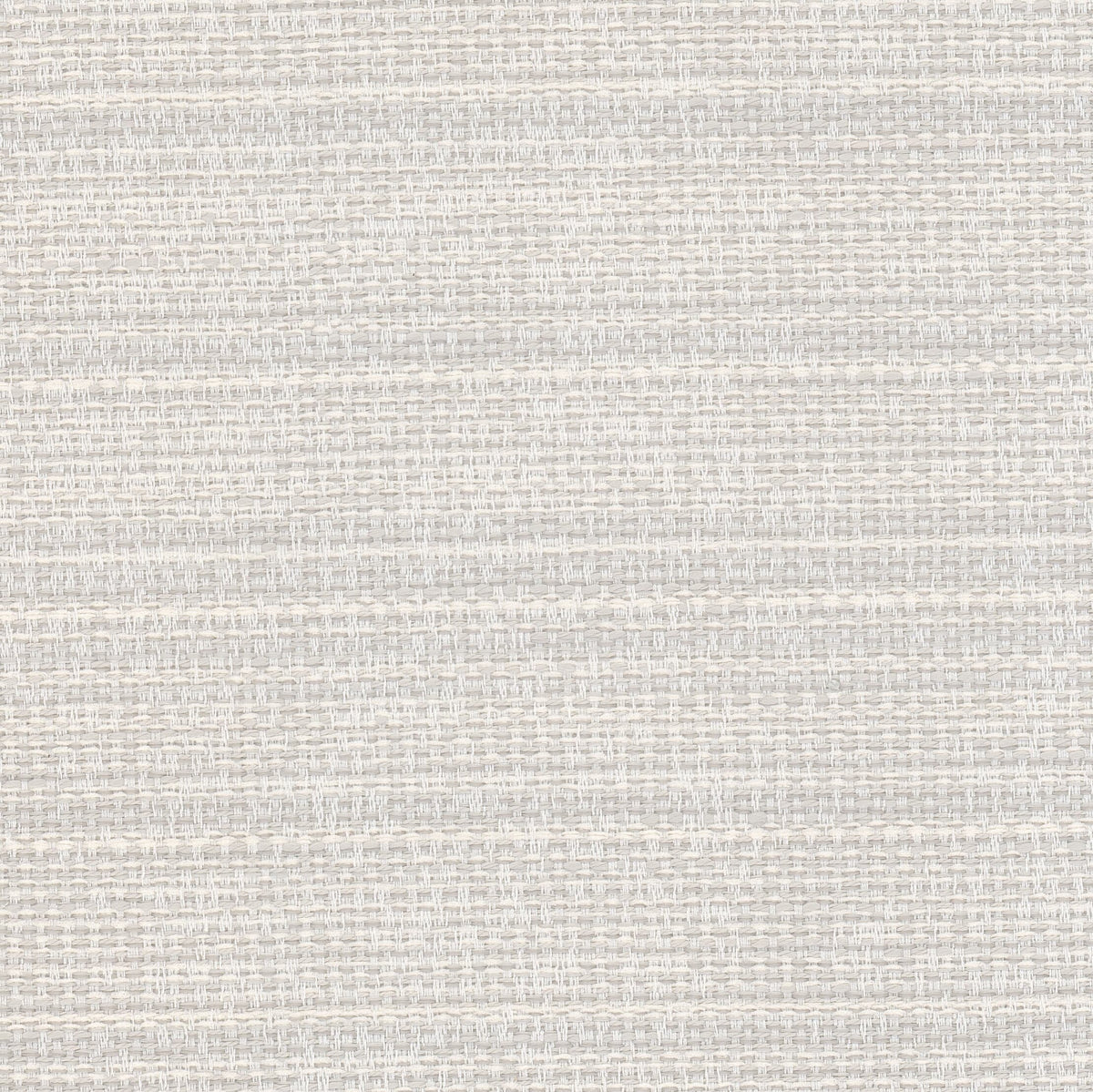 LUPINE 2 ASH