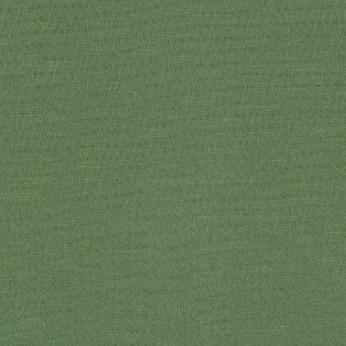 MANAGE 99 CHIVE