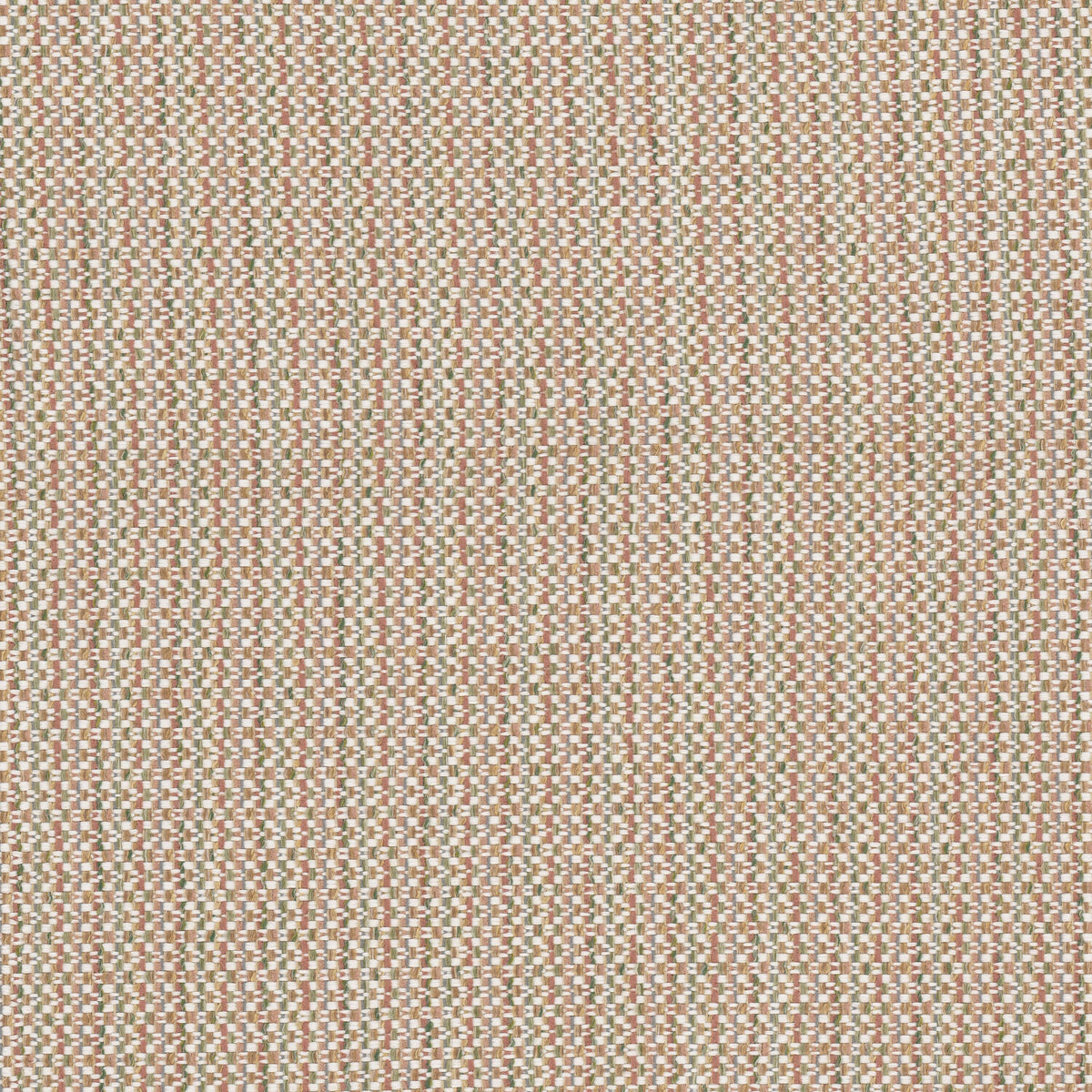 MCCARTHY 1 SORBET
