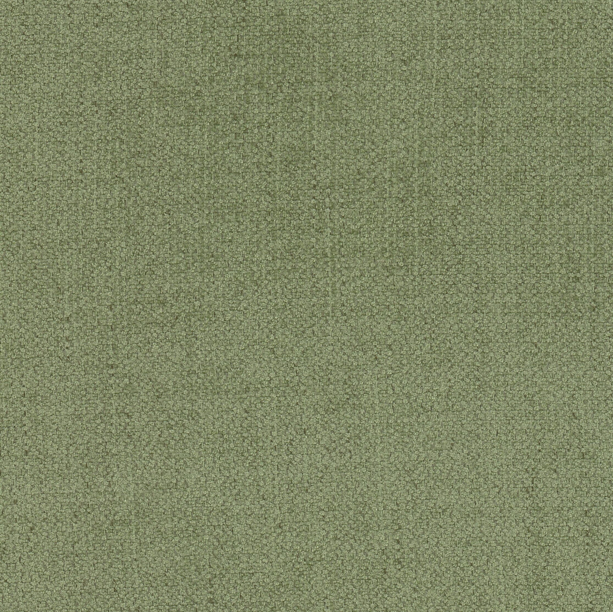 MENAGERIE 1 MOSS
