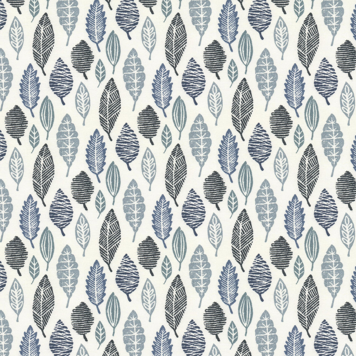 MOLECULE 1 WEDGEWOOD