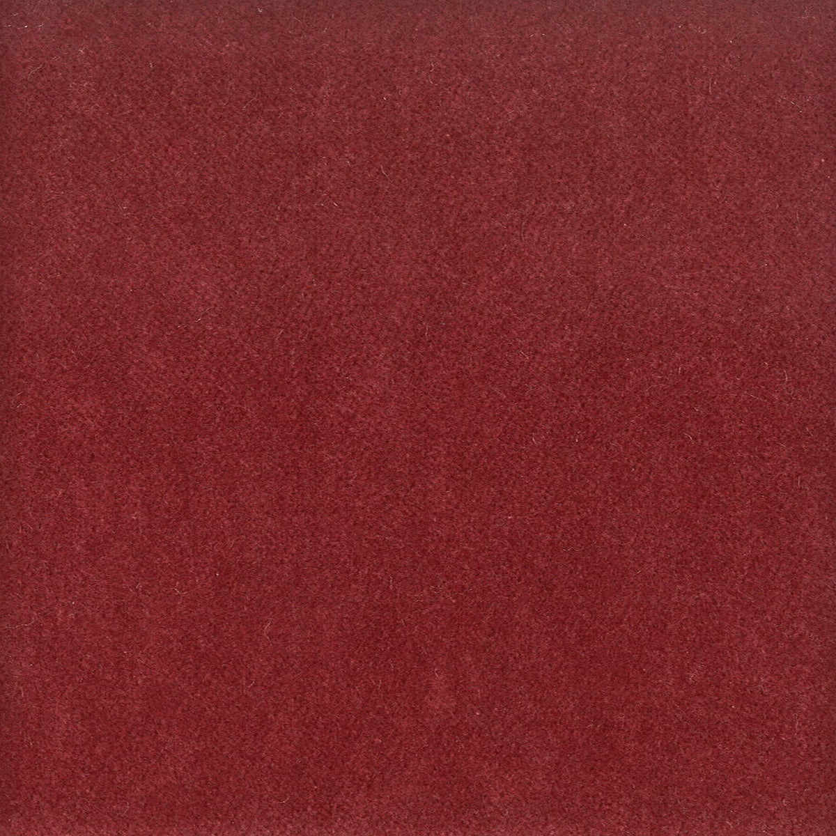 MOORE 11 BEET