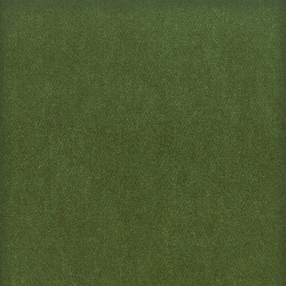 MOORE 14 BOXWOOD