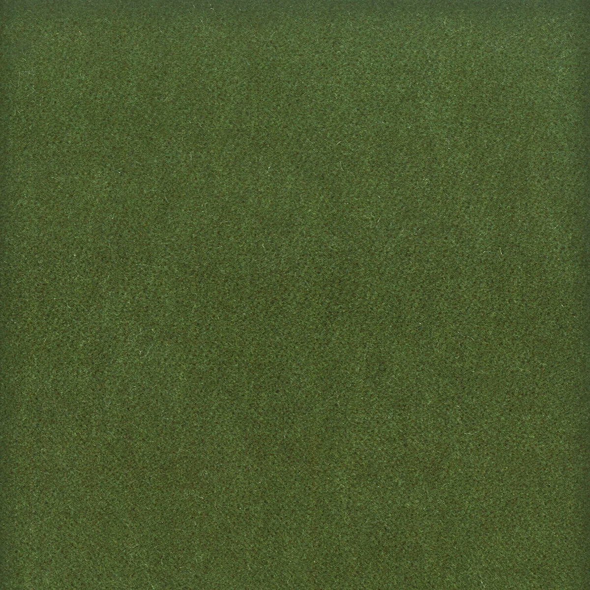 MOORE 14 BOXWOOD
