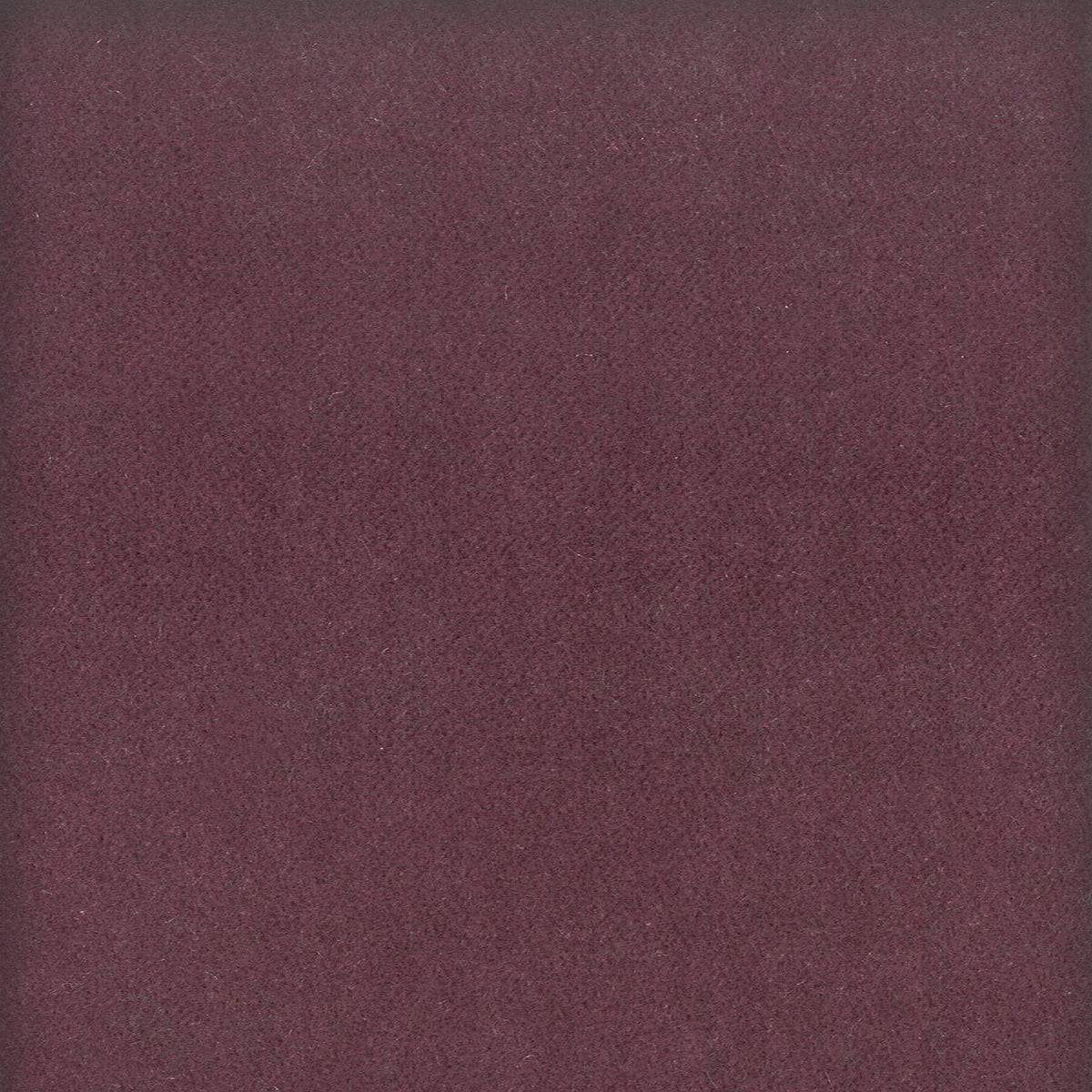 MOORE 15 PLUM
