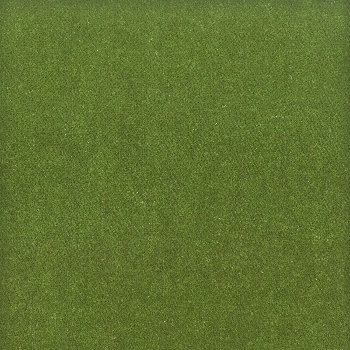 MOORE 20 MOSS