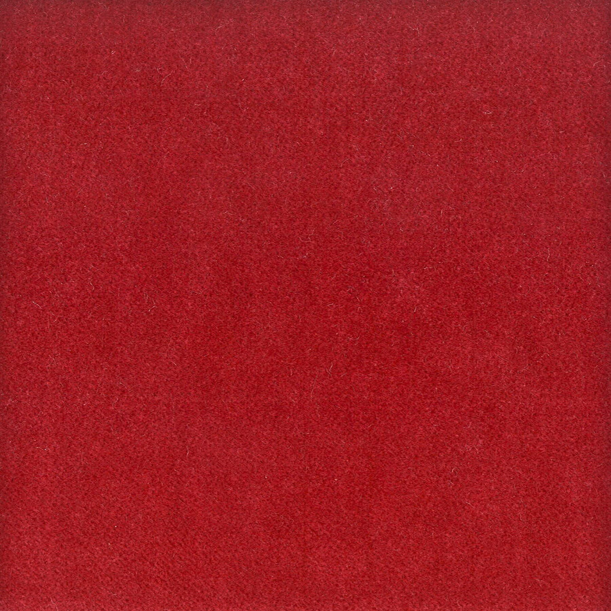 MOORE 23 WINE