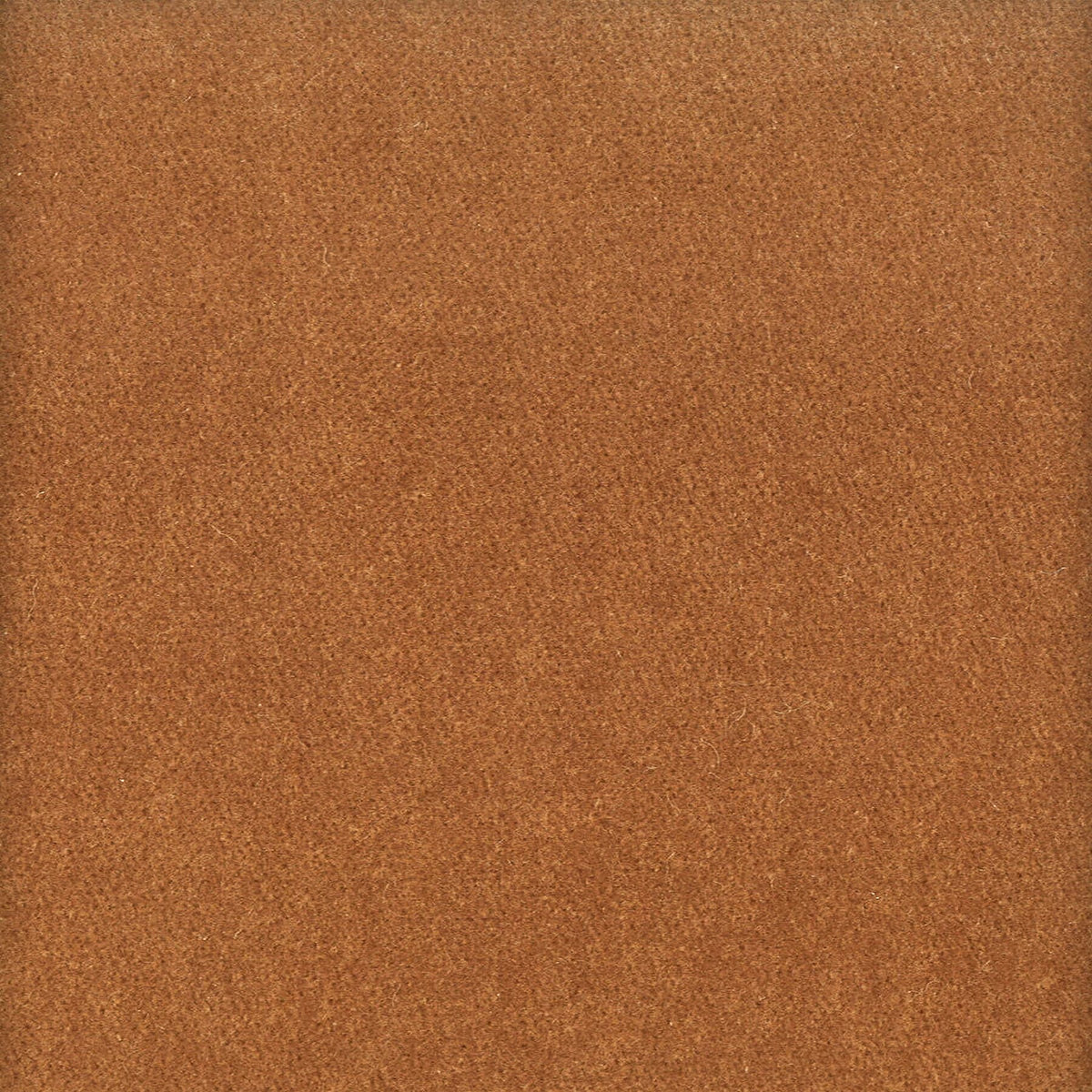 MOORE 40 CINNAMON