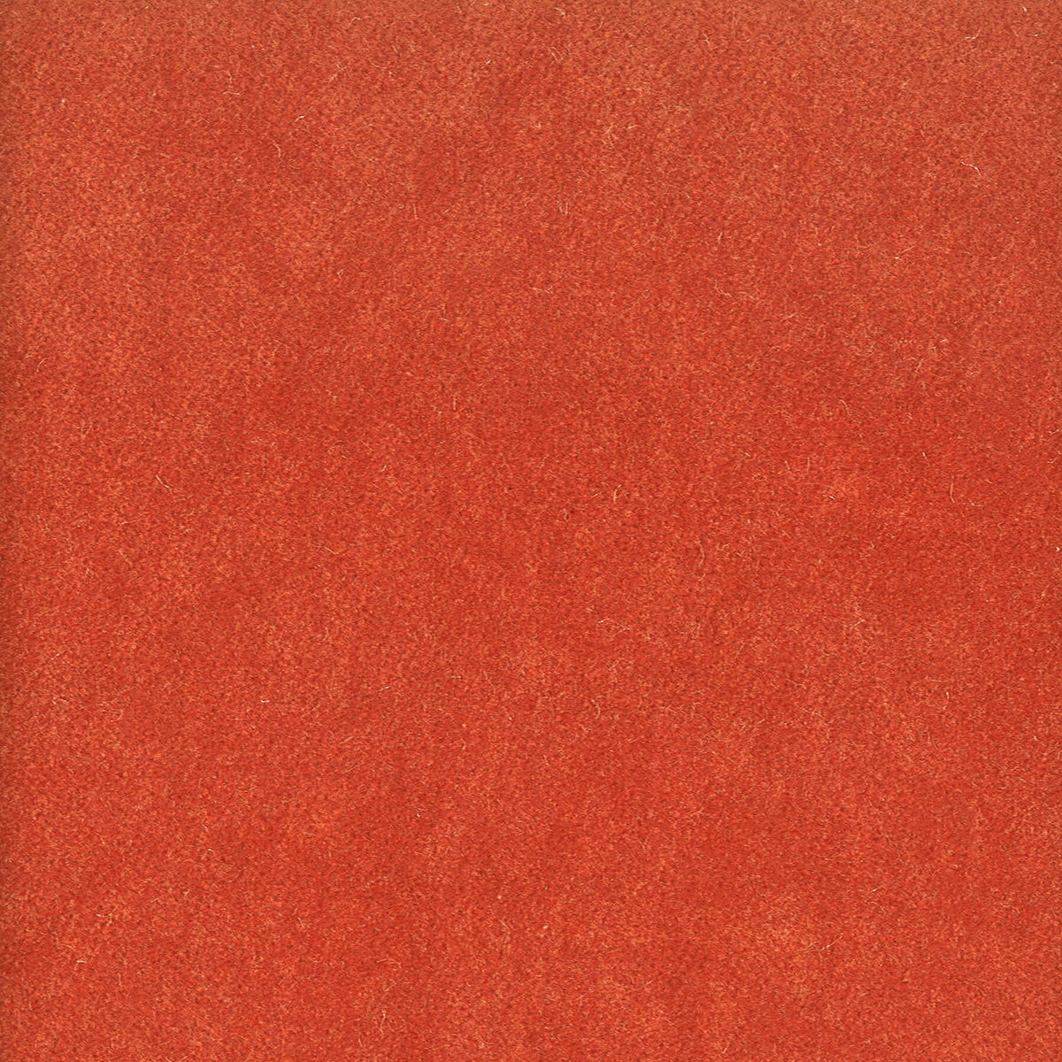 MOORE 41 TERRACOTTA
