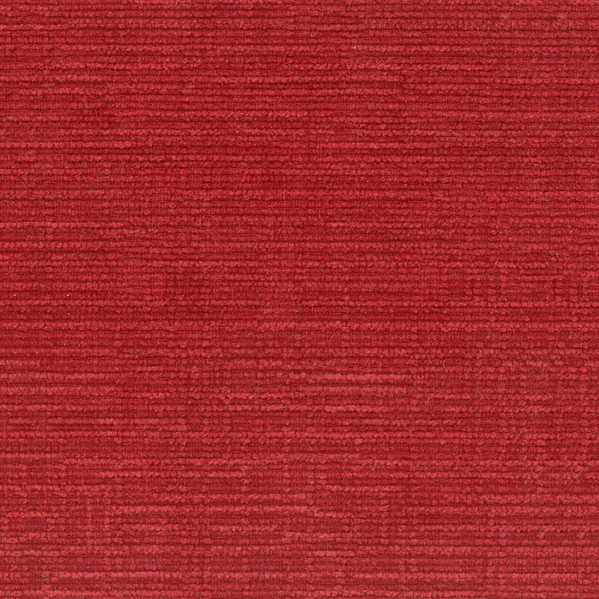 NIKKI 1 RUBY