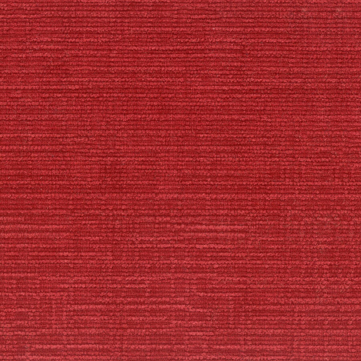 NIKKI 1 RUBY